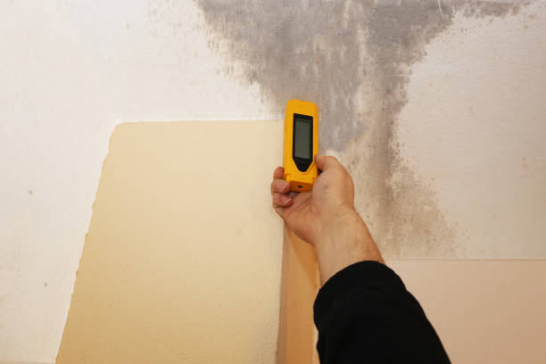 Best Crawl Space Mold Remediation  in Newport Beach, CA