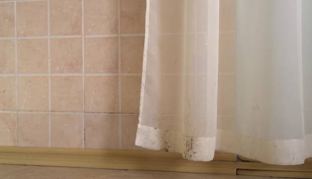 Best Residential Mold Inspection & Testing  in Newport Beach, CA