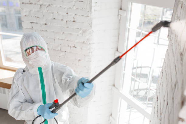 Best Industrial Mold Remediation  in Newport Beach, CA