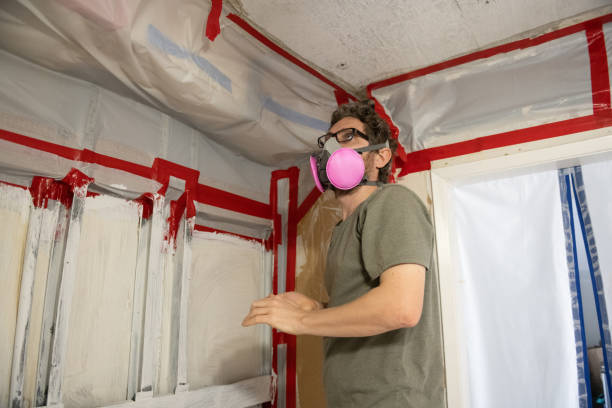 Best Mold Odor Removal Services  in Newport Beach, CA