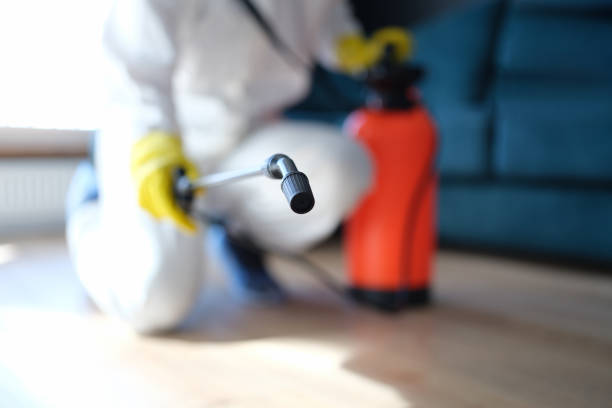 Best Indoor Air Quality Assessment  in Newport Beach, CA