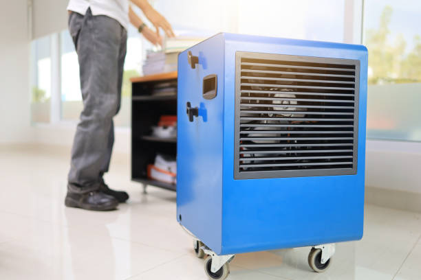 Best Mold Removal for HVAC Installations  in Newport Beach, CA